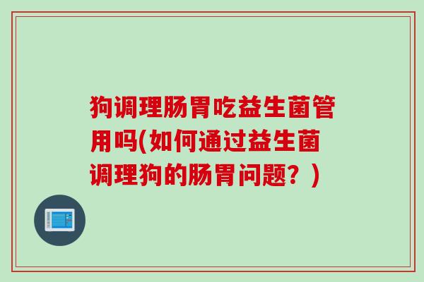 狗调理肠胃吃益生菌管用吗(如何通过益生菌调理狗的肠胃问题？)