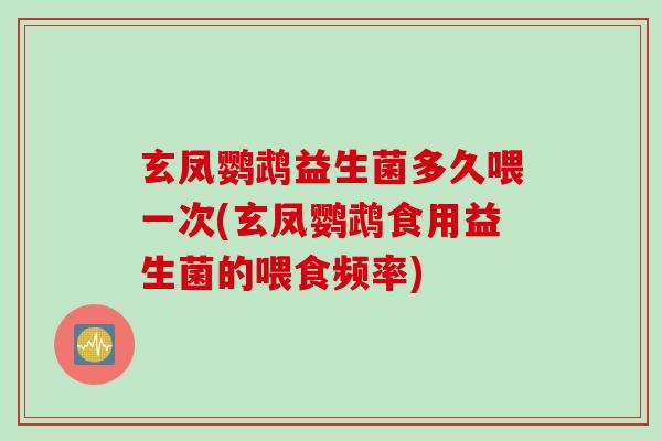 玄凤鹦鹉益生菌多久喂一次(玄凤鹦鹉食用益生菌的喂食频率)