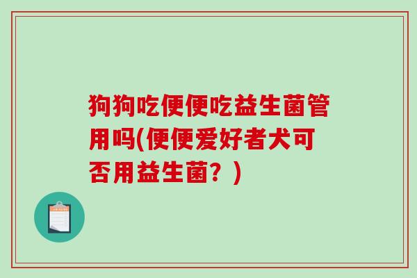 狗狗吃便便吃益生菌管用吗(便便爱好者犬可否用益生菌？)