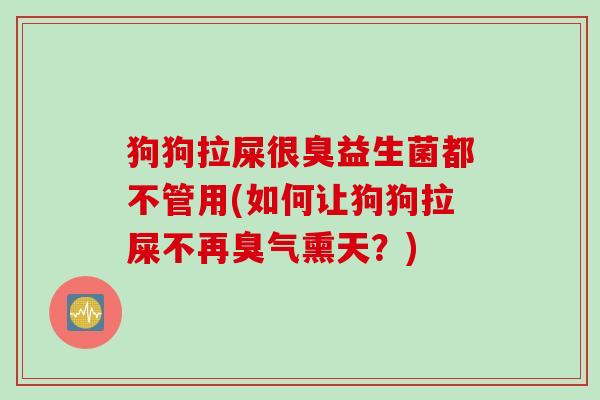 狗狗拉屎很臭益生菌都不管用(如何让狗狗拉屎不再臭气熏天?) 狗狗拉屎很臭益生菌都不管用(如何让狗狗拉屎不再臭气熏天?)