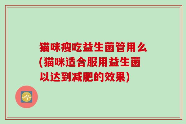 猫咪瘦吃益生菌管用么(猫咪适合服用益生菌以达到减肥的效果)