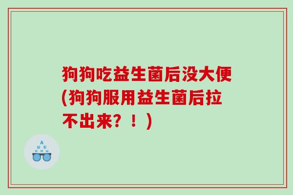狗狗吃益生菌后没大便(狗狗服用益生菌后拉不出来?!) 狗狗吃益生菌后没大便(狗狗服用益生菌后拉不出来?!)