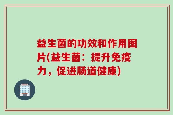 益生菌的功效和作用图片(益生菌:提升力,促进肠道健康) 益生菌的功效和作用图片(益生菌:提升力,促进肠道健康)