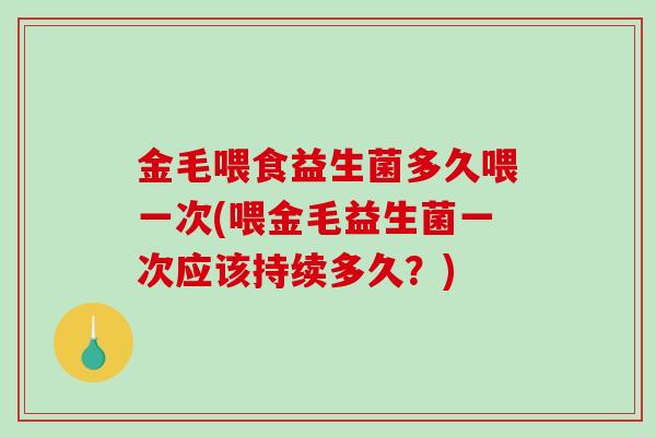 金毛喂食益生菌多久喂一次(喂金毛益生菌一次应该持续多久？)