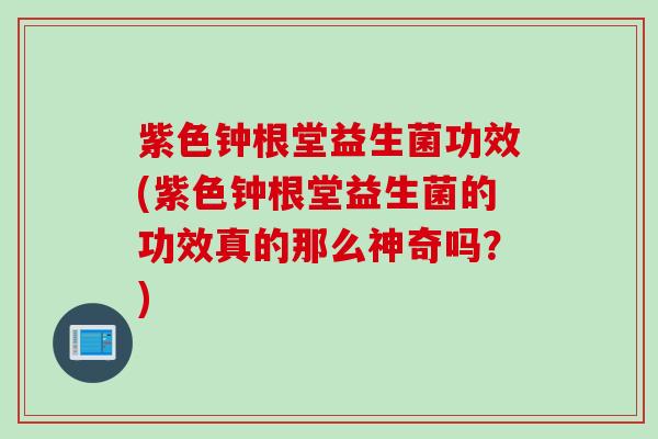 紫色钟根堂益生菌功效(紫色钟根堂益生菌的功效真的那么神奇吗？)