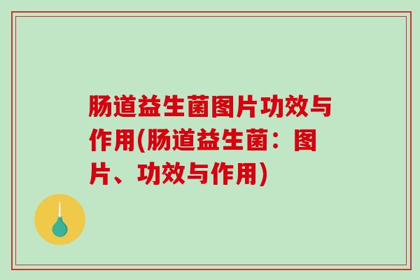 肠道益生菌图片功效与作用(肠道益生菌：图片、功效与作用)