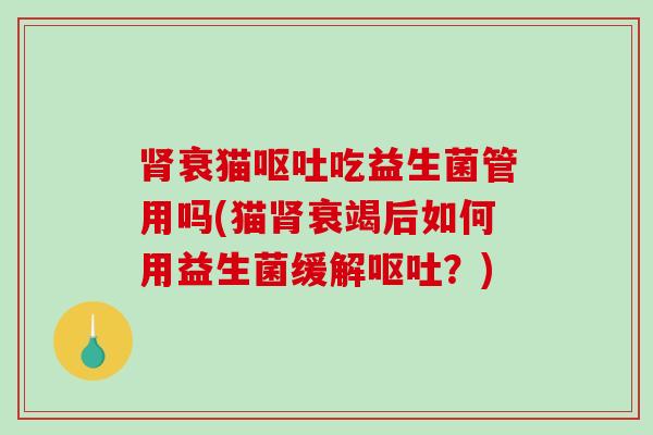 衰猫吃益生菌管用吗(猫衰竭后如何用益生菌缓解?) 衰猫吃益生菌管用吗(猫衰竭后如何用益生菌缓解?)