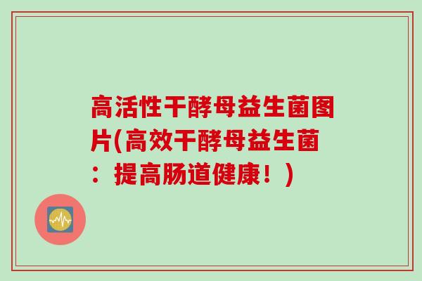 高活性干酵母益生菌图片(高效干酵母益生菌:提高肠道健康!) 高活性干酵母益生菌图片(高效干酵母益生菌:提高肠道健康!)