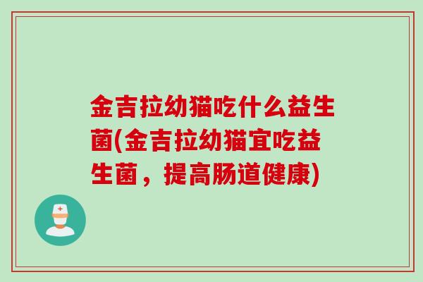 金吉拉幼猫吃什么益生菌(金吉拉幼猫宜吃益生菌，提高肠道健康)