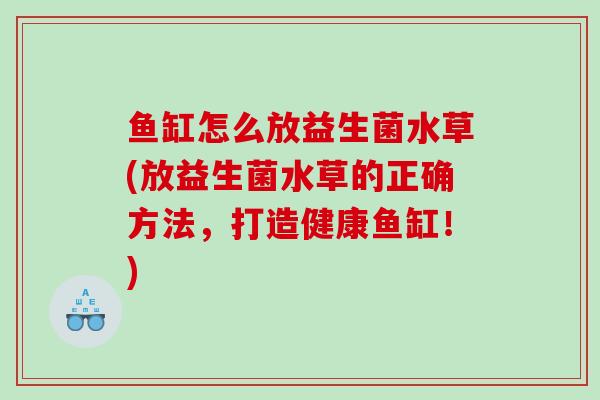 鱼缸怎么放益生菌水草(放益生菌水草的正确方法，打造健康鱼缸！)
