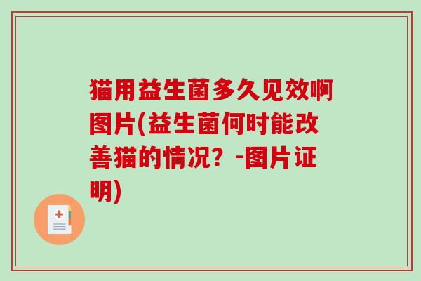 猫用益生菌多久见效啊图片(益生菌何时能改善猫的情况？-图片证明)