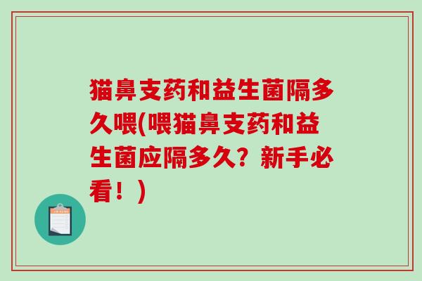 猫鼻支药和益生菌隔多久喂(喂猫鼻支药和益生菌应隔多久？新手必看！)