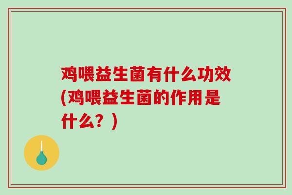 鸡喂益生菌有什么功效(鸡喂益生菌的作用是什么？)