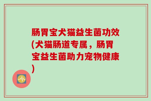 肠胃宝犬猫益生菌功效(犬猫肠道专属，肠胃宝益生菌助力宠物健康)