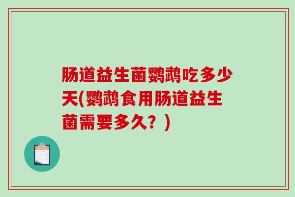 肠道益生菌鹦鹉吃多少天(鹦鹉食用肠道益生菌需要多久？)