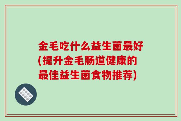 金毛吃什么益生菌最好(提升金毛肠道健康的最佳益生菌食物推荐)