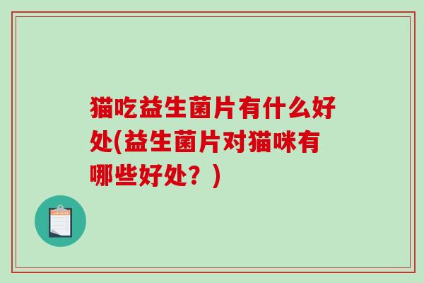 猫吃益生菌片有什么好处(益生菌片对猫咪有哪些好处？)