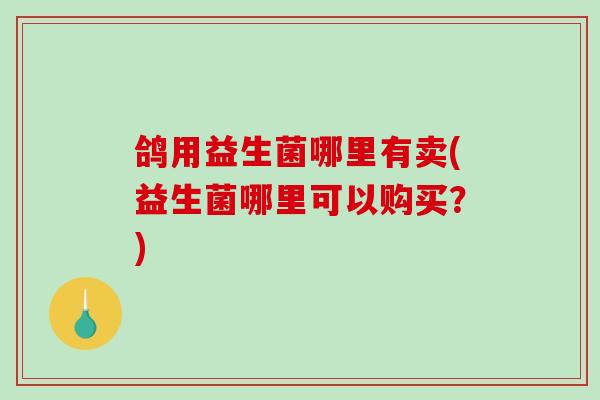 鸽用益生菌哪里有卖(益生菌哪里可以购买？)