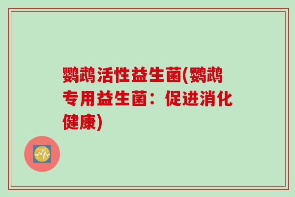 鹦鹉活性益生菌(鹦鹉专用益生菌：促进消化健康)