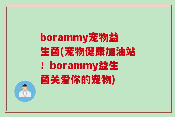 borammy宠物益生菌(宠物健康加油站!borammy益生菌关爱你的宠物) borammy宠物益生菌(宠物健康加油站!borammy益生菌关爱你的宠物)