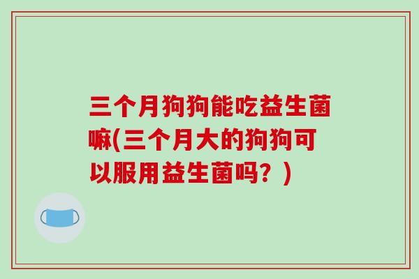 三个月狗狗能吃益生菌嘛(三个月大的狗狗可以服用益生菌吗？)