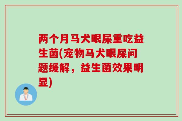 两个月马犬眼屎重吃益生菌(宠物马犬眼屎问题缓解,益生菌效果明显) 两个月马犬眼屎重吃益生菌(宠物马犬眼屎问题缓解,益生菌效果明显)