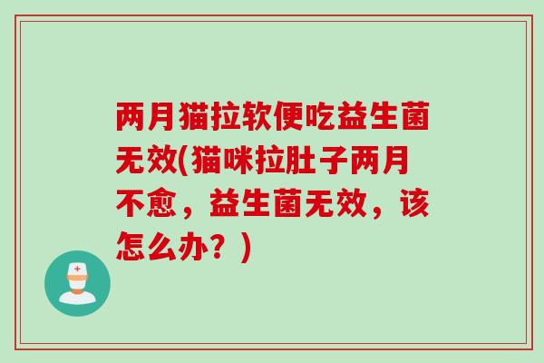 两月猫拉软便吃益生菌无效(猫咪拉肚子两月不愈，益生菌无效，该怎么办？)