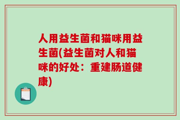 人用益生菌和猫咪用益生菌(益生菌对人和猫咪的好处:重建肠道健康) 人用益生菌和猫咪用益生菌(益生菌对人和猫咪的好处:重建肠道健康)