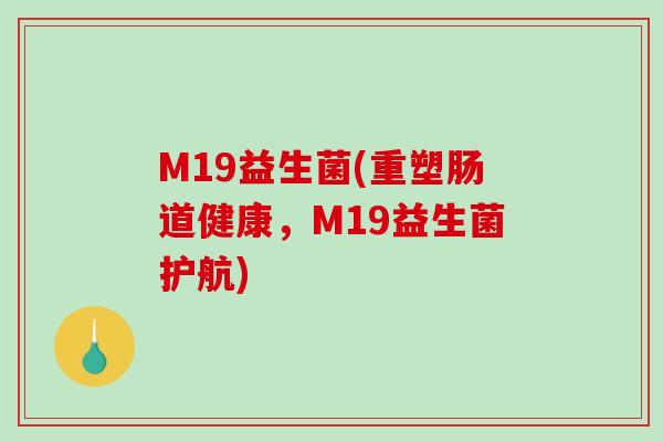 M19益生菌(重塑肠道健康,M19益生菌护航) M19益生菌(重塑肠道健康,M19益生菌护航)