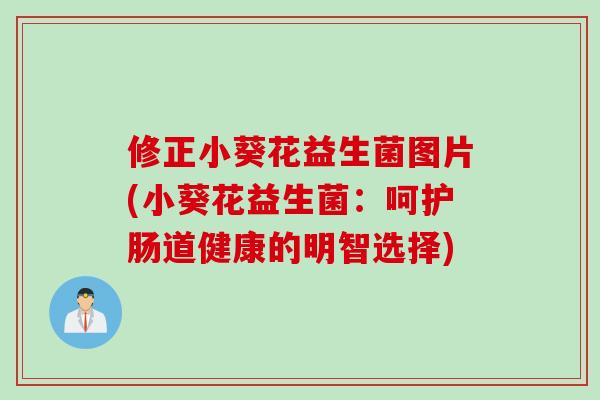 修正小葵花益生菌图片(小葵花益生菌：呵护肠道健康的明智选择)