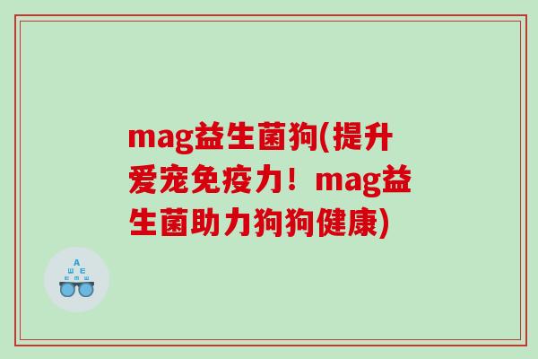mag益生菌狗(提升爱宠免疫力！mag益生菌助力狗狗健康)
