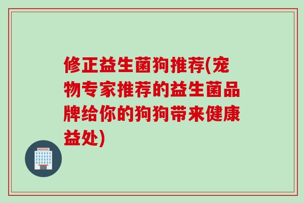 修正益生菌狗推荐(宠物专家推荐的益生菌品牌给你的狗狗带来健康益处)