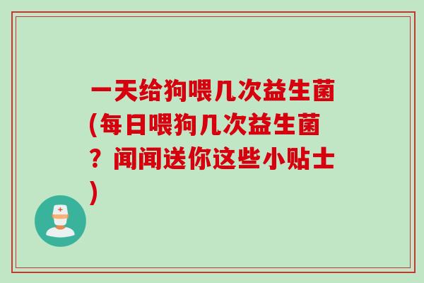 一天给狗喂几次益生菌(每日喂狗几次益生菌？闻闻送你这些小贴士)