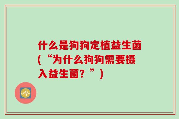什么是狗狗定植益生菌(“为什么狗狗需要摄入益生菌？”)