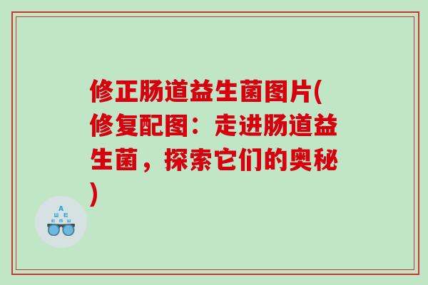 修正肠道益生菌图片(修复配图:走进肠道益生菌,探索它们的奥秘) 修正肠道益生菌图片(修复配图:走进肠道益生菌,探索它们的奥秘)