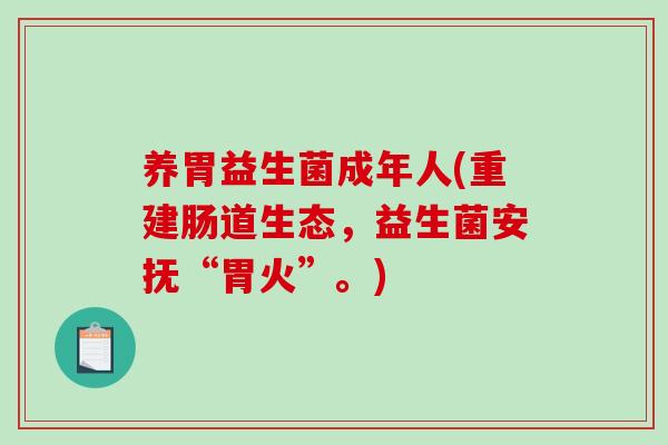养胃益生菌成年人(重建肠道生态，益生菌安抚“胃火”。)