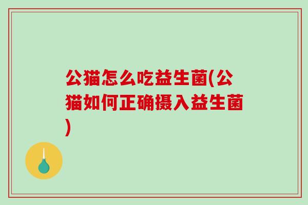 公猫怎么吃益生菌(公猫如何正确摄入益生菌)