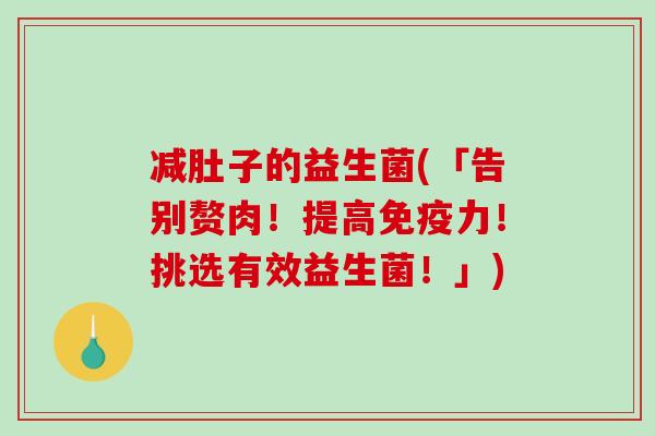 减肚子的益生菌(「告别赘肉!提高力!挑选有效益生菌!」) 减肚子的益生菌(「告别赘肉!提高力!挑选有效益生菌!」)
