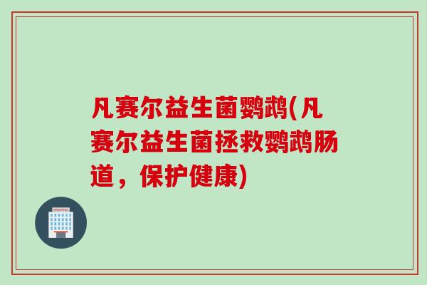 凡赛尔益生菌鹦鹉(凡赛尔益生菌拯救鹦鹉肠道，保护健康)