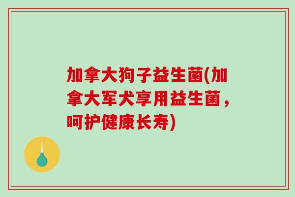 加拿大狗子益生菌(加拿大军犬享用益生菌，呵护健康长寿)