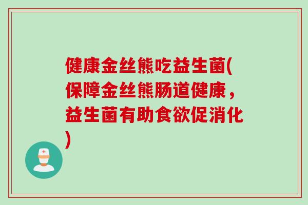 健康金丝熊吃益生菌(保障金丝熊肠道健康，益生菌有助食欲促消化)