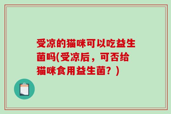 受凉的猫咪可以吃益生菌吗(受凉后，可否给猫咪食用益生菌？)