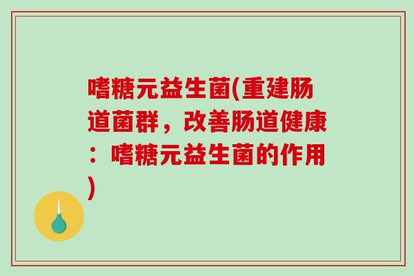 嗜糖元益生菌(重建肠道菌群，改善肠道健康：嗜糖元益生菌的作用)