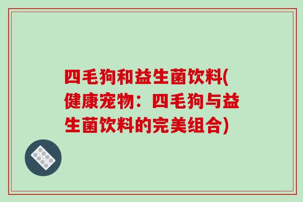 四毛狗和益生菌饮料(健康宠物:四毛狗与益生菌饮料的完美组合) 四毛狗和益生菌饮料(健康宠物:四毛狗与益生菌饮料的完美组合)