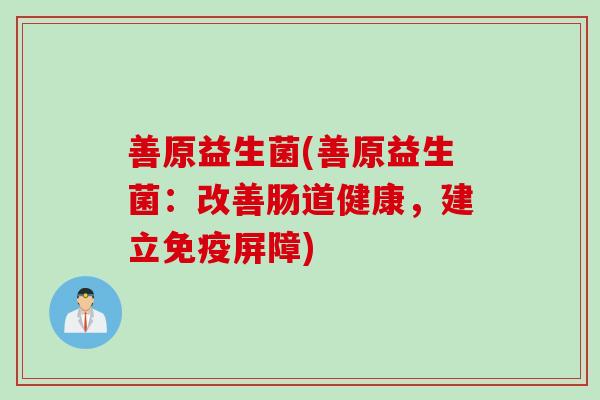 善原益生菌(善原益生菌：改善肠道健康，建立屏障)