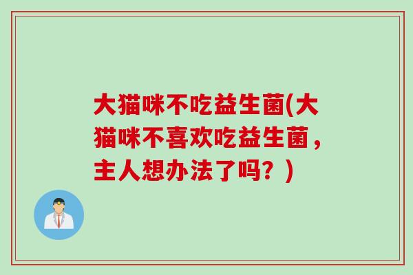 大猫咪不吃益生菌(大猫咪不喜欢吃益生菌，主人想办法了吗？)