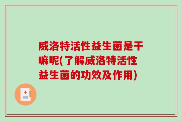 威洛特活性益生菌是干嘛呢(了解威洛特活性益生菌的功效及作用) 威洛特活性益生菌是干嘛呢(了解威洛特活性益生菌的功效及作用)