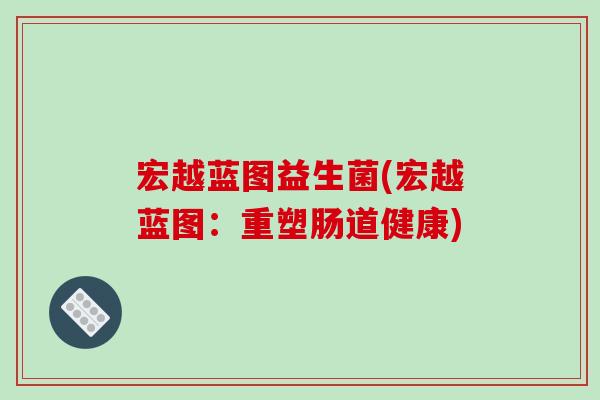 宏越蓝图益生菌(宏越蓝图：重塑肠道健康)