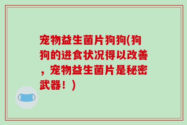 宠物益生菌片狗狗(狗狗的进食状况得以改善，宠物益生菌片是秘密武器！)