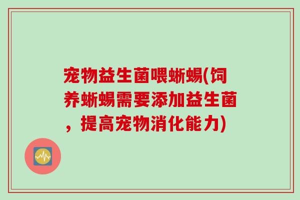 宠物益生菌喂蜥蜴(饲养蜥蜴需要添加益生菌，提高宠物消化能力)